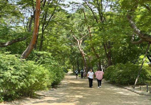 창경궁은 정원이 어우러진 고궁이다. 역사와 고요한 자연을 동시에 즐길 수 있다. [사진=강상헌 기자]