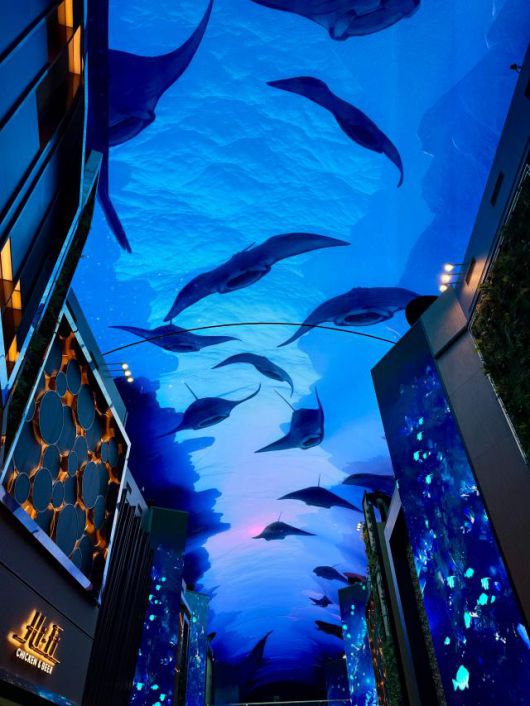 특히 3분간 진행되는 ‘언더 더 블루랜드 쇼’는 인스파이어 미디어 아트 중 최고의 히트작이다. 핑크 고래 영상으로도 잘 알려져 있다. 거대한 흰수염 고래와 다양한 해양 생물이 유영하는 모습이 인상적이다. [사진=강상헌 기자]