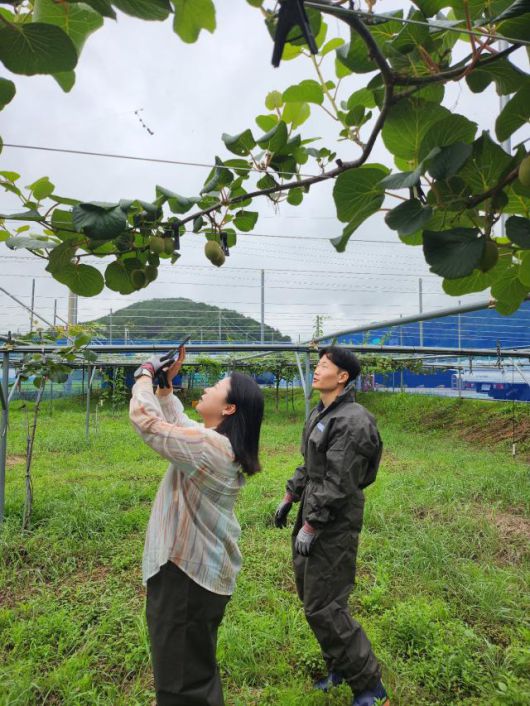 광양시는 체감온도 33도 이상 상태가 사흘 이상 지속됨에 따라 농작물 피해 예방을 위한 현장 대응에 나섰다. [사진=광양시]