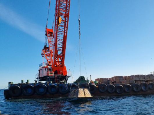 해삼전용초. [사진=양양군]