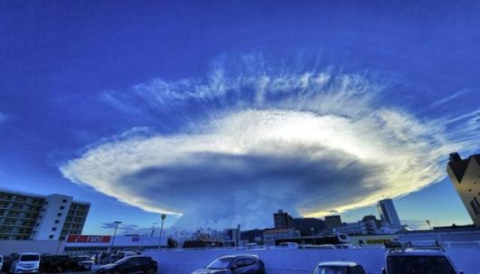 [사진=SNS 갈무리]