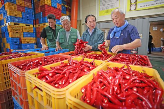 심민 임실군수(오른쪽 두 번째)가 임실 홍실고추 수매현장을 찾아 농민들과 대화를 나누고 있다.[사진=임실군]