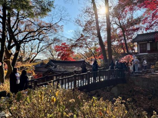 길상사에서는 붉은 단풍과 나뭇가지 사이로 비치는 햇살 그리고 시간이 멈춘 듯한 고요함을 느낄 수 있다. [사진=강상헌 기자]
