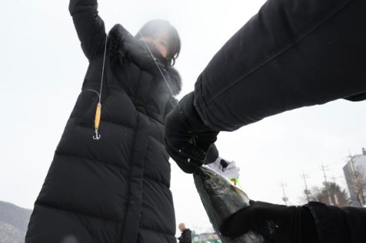 Visitors catch a mountain trout at the Hwacheon Sancheoneo Ice Festival in Hwacheon, Gangwon Province. Jan. 12, 2026. AJP Han Jun-gu