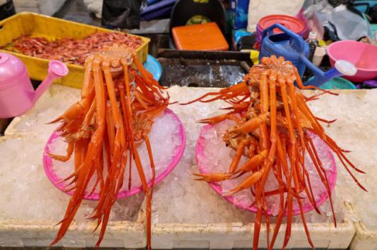 Red snow crabs are on display at Sokcho Jungang Market in Sokcho, Gangwon State, on Jan. 17. 2026. AJP Yoo Na-hyun