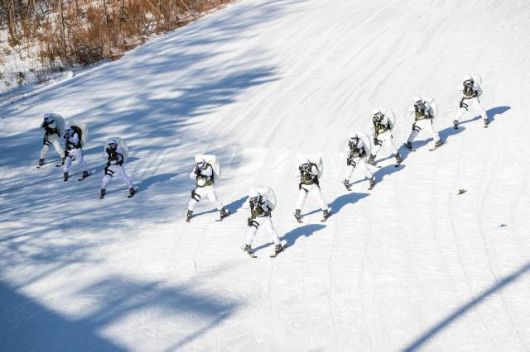 ROK Army Special Warfare Command soldiers conduct snow mobility training using skis in Daegwallyeong, Gangwon Province, on Jan. 22, 2026.