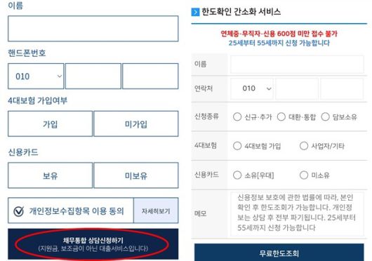 정부 기관을 사칭하는 링크에 들어가면 대부업체 또는 저축은행 대출을 권유하는 상담신청서 화면이 나온다. 상담신청서에는 정부지원이라는 광고 문구와 달리 '지원금, 보조금이 아닌 대출서비스입니다'라는 안내 문구가 보였다. /페이스북 화면 캡쳐