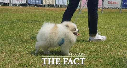 더팩트