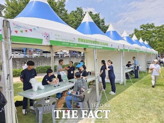 더팩트