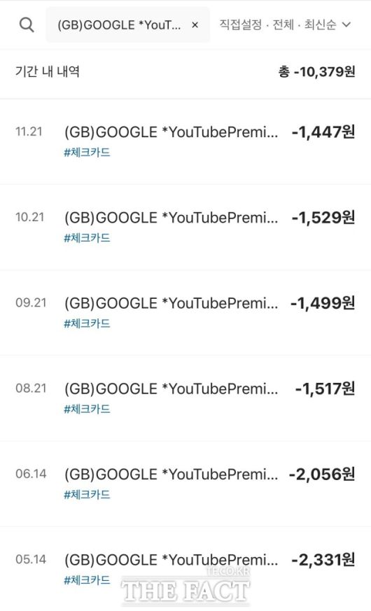 직장인 전 씨는 VPN을 이집트로 우회해 유튜브 프리미엄을 이용하고 있었다. /전 씨 제공