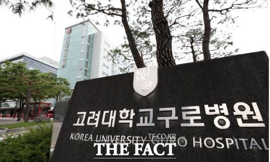 더팩트