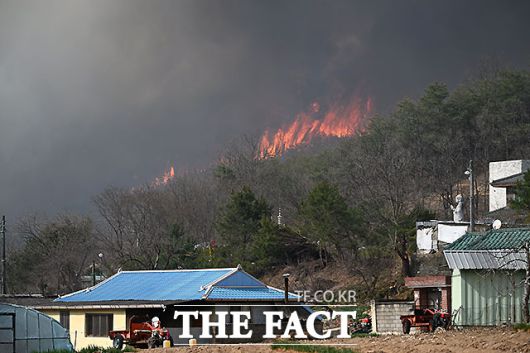 의성 산불이 발생한지 4일째를 맞은 25일 오후 경북 의성군 단촌면 일대에 불이 확산되고 있다. /의성=박헌우 기자