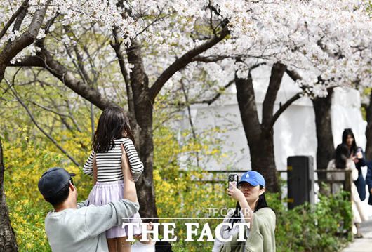 대부분 지역의 낮 기온이 20도 내외로 올라 포근한 날씨를 보인 8일 오후 서울 영등포구 윤중로벚꽃길을 찾은 시민들이 봄을 만끽하고 있다. /박헌우 기자