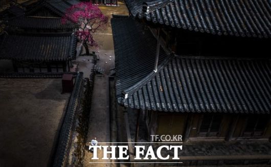 우수상(부주지스님상) 수상작인 이기성 씨의 '인연, 어울림'./화엄사