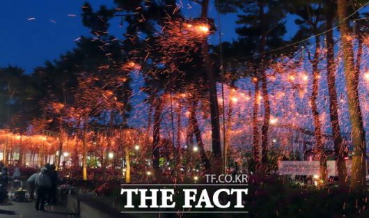 불꽃비가 26일 세종중앙·호수공원 일원에 날리고 있다. /김형중 기자