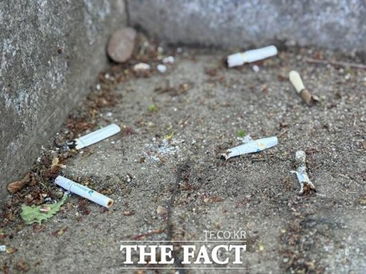 지난 25일 서울 서초구 청계산 인근 그늘막 아래, 벤치 주변, 등산로 초입까지 흙먼지에 파묻힌 담배꽁초 수십여개가 버려져 있었다. 시민들은 건조한 봄철 산불 경각심이 높아지는 상황에서 흡연 등 행위가 계속되는 것에 대한 우려를 나타냈다. /정인지 기자