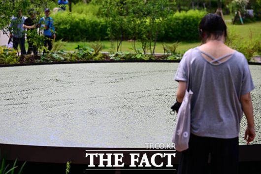 이날 금상을 받은 김기한 작가의 'THE LAST MEAL'. 2025 서울국제정원박람회 개막 첫 날인 22일 오후 서울 동작구 보라매공원에서 시민들이 전시품을 관람하고 있다./남윤호 기자