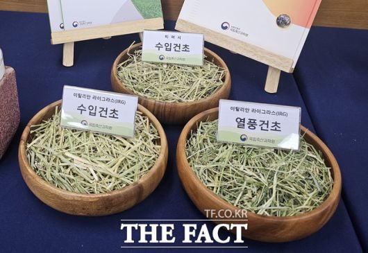 농촌진흥청은 겨울철 사료작물인 이탈리안 라이그라스(IRG) 품종 개발부터 종자 생산, 건초 가공, 유통에 이르는 ‘전주기 국산화 기술 체계’를 구축, 국산 풀사료 산업의 자립 기반을 마련했다./세종=박은평 기자