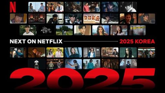 보안업체 카스퍼스키가 넷플릭스, 디즈니플러스 등 글로벌 OTT에서 이용자 계정 약 700만건이 유출됐다고 발표했다. /넷플릭스