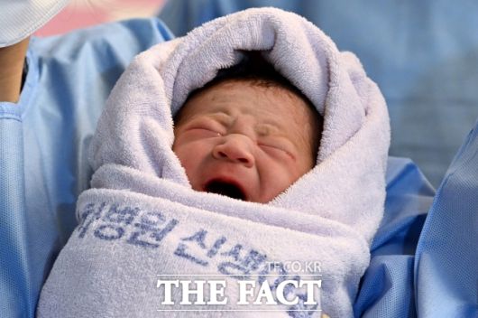 필수진료과인 '내외산소(내과·외과·산부인과·소아청소년과)'를 기피하는 이유 중 하나는 높은 업무 강도와 소송 위험에 비해 보상이 적어서다. 사진은 2025년 을사년 첫 아기인 니케(태명)가 1일 경기 고양 일산차병원에서 힘찬 울음을 터트리며 탄생을 알리는 모습. /일산=임영무 기자