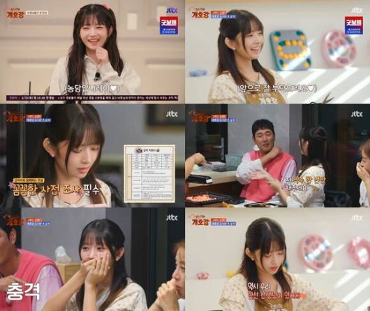 레이가 출연하는 '집 나가면 개호강'은 개들의 호강을 위해서 스스로 고생길을 선택한 출연진이 세상 모든 개의 행복을 위한 '개호강 유치원'을 운영하며 벌어지는 일을 기록하는 관찰 리얼리티다. /방송 화면 캡처