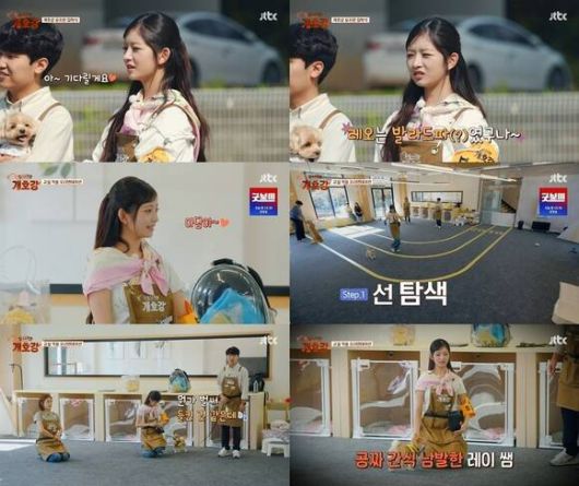 레이는 '집 나가면 개호강'에서 솔직 당당한 입담을 뽐내는 것은 물론 출연진과의 '케미' 그리고 강아지들을 향한 열정까지 보여주고 있다. /방송 화면 캡처