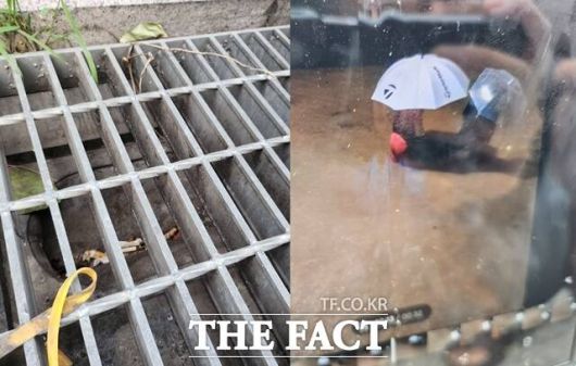 지난 18일 서울 관악구 주택가의 빗물받이에 담배꽁초가 쌓여있다. 빗물받이는 호우가 내릴 때 도시가 침수되지 않도록 물을 내보내 주는 시설로써 지난해 기준 서울시에는 총 58만여개가 있는 것으로 나타났다. /이윤경 기자