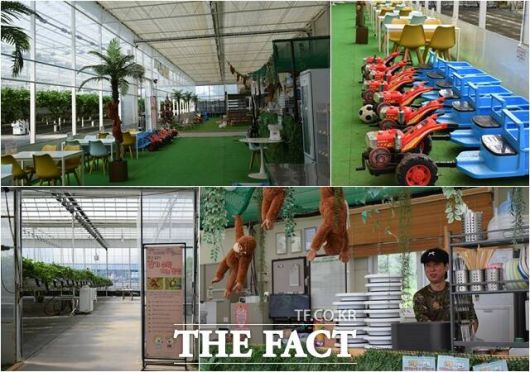 정 씨가 부인과 함께 운영 중인 '오늘의 딸기' 내부 모습. 딸기 체험을 위해 마련된 이 공간을 찾는 이들만 1만명 정도가 된다고 한다. 겉으로 보기에 정 씨는 연착륙에 성공한 귀농 청년이었지만 적지 않은 어려움이 있었다고 했다. /이철영 기자