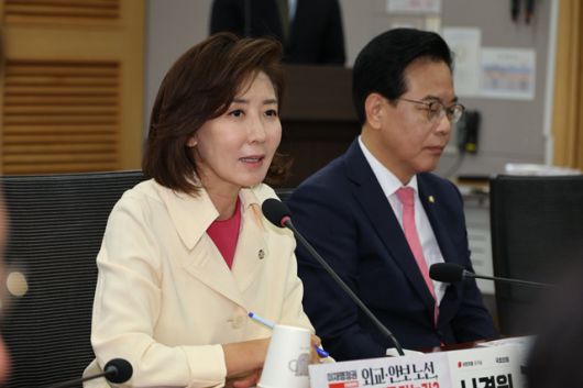나경원 국민의힘 의원은 26일 국회에서 '이재명 정권 외교·안보 노선, 어디로 가는가?' 세미나를 열었다. 이 자리에선 이재명 정부의 실용외교가 미국을 자극할 수 있다는 지적이 나왔다. /나경원 의원 페이스북 갈무리