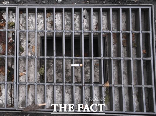 강우 발생 시, 빗물받이 그레이팅 위에 낙엽이나 이물질이 쌓이더라도 배수성능과 지연배출 기능을 안정적으로 유지할 수 있는 기술이 필요하다. 사진은 지난해 6월 강남역 일대 빗물받이에 담배꽁초가 아슬하게 걸쳐져 있는 모습.