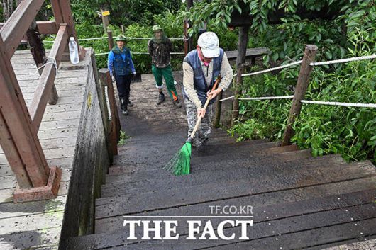 관계자들이 러브버그의 사체를 청소하고 있다.