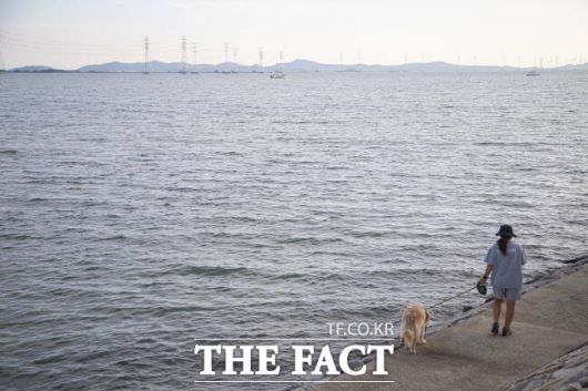 반려견과 함께 시흥 거북섬 해안 산책로를 걷고 있는 관광객./경기관광공사