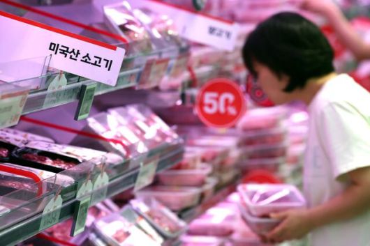 지난달 29일 서울 시내 한 대형마트에서 시민이 소고기를 살펴보고 있다. / 뉴시스