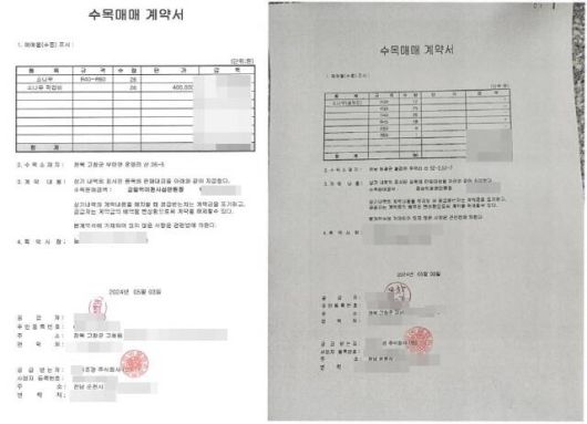 반출증 없이 무단으로 가져와 식재된 소나무 계약서. /김동언 기자