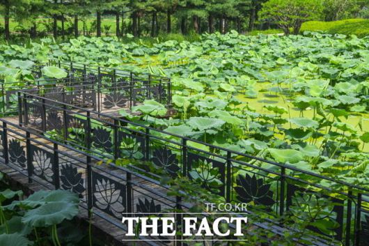 안성 서일농원 전경./경기관광공사