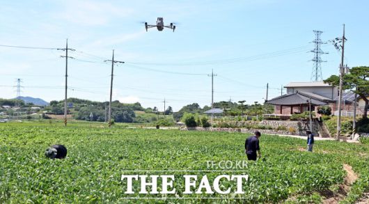 정읍시는 '농업현장 예찰단'을 구성해 폭염에 취약한 논밭과 비닐하우스, 고령농이 작업 중인 야외 작업장 등을 집중 점검하고 있다고 30일 밝혔다. 드론을 통해 확인된 영상은 현장의 온도, 작업 유무, 위험요소 등을 실시간으로 확인하는 데 활용된다. /정읍시
