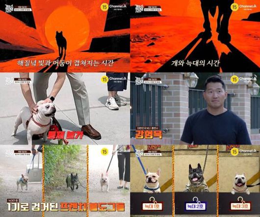 '개와 늑대의 시간'은 오는 5일 오후 9시 20분 첫 방송한다. /채널A