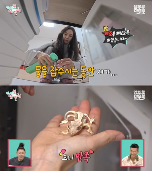 배우 한지은이 지난 6일 MBC 예능 프로그램 '전지적 참견 시점'에 출연해 반려 도마뱀 모니를 공개했다. /방송 화면 캡처