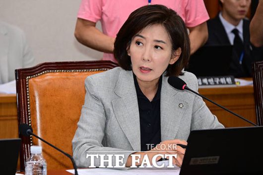 민주당은 26일 서울경찰청에 나 의원을 허위사실 적시 명예훼손 혐의로 고발했다. /남윤호 기자