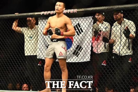 정찬성의 제자들이 연이은 패배를 기록하고 있다. /뉴시스