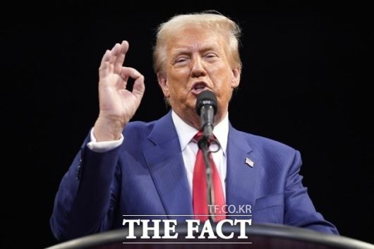 도널드 트럼프 미국 대통령(사진)이 주말 동안 진행된 이스라엘과 팔레스타인 무장정파 하마스 간 평화협상을 성공적이라고 평가했다. /AP.뉴시스