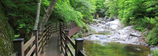 산림청은 전국 권역별로 대표 숲길 10선을 추천했다. 사진은 장수 방화동 생태길./산림청