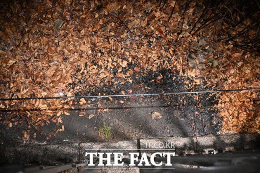 9일 저녁 서울 여의도 국회 3문 일대에서 방화로 추정되는 화재가 발생했다. 신원 미상의 방화자에 인해 발생한 화재는 소방의 출동으로 25분에 완진됐다. /국회=박헌우 기자