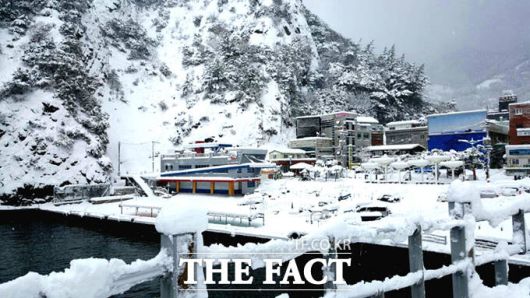 설국으로 변한 울릉도 /독자제공