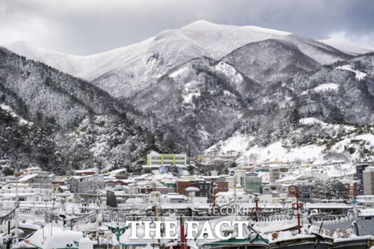 하얀 겨울옷을 갈아입을 울릉도 풍경. /독자제공