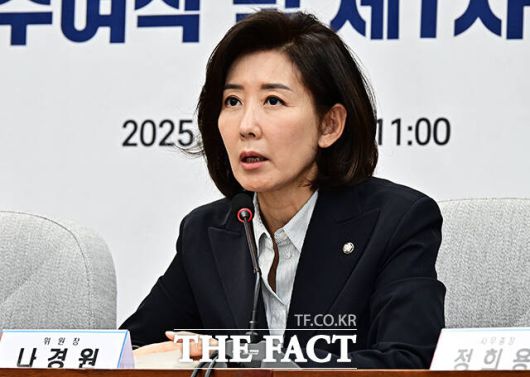 나경원 국민의힘 의원이 1일 SNS에 글을 올려 "민주당은 지방선거용 특검정국에 더 몰두할 것"이라고 주장했다. /배정한 기자