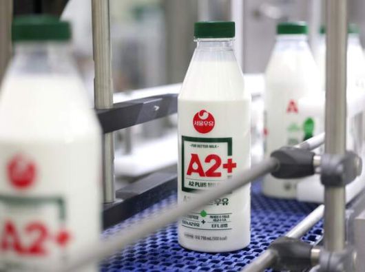 2026년 들어 미국, 유럽 수입산 유제품 관세가 전면 폐지되면서 국내 유업계가 더 큰 어려움에 직면했다. 사진은 서울우유협동조합 'A2+ 우유'의 생산 공정 모습. /서울우유협동조합