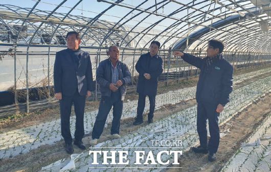 경북 농협이 14일 최근 강풍으로 시설하우스 피해를 입은 고령군 관내 마늘재배 농가를 방문해 농업인을 위로하고 현장을 살펴보고 있다. 왼쪽부터 최종보 동고령농협 조합장, 이정태 조합원, 박병영 고령지부장, 김주원 본부장. /경북 농협