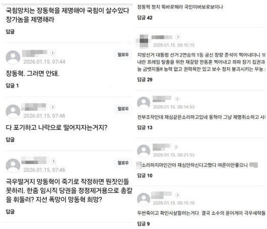 온라인상에서 장동혁 대표를 비방하는 글을 쉽게 볼 수 있다. /네이버 갈무리