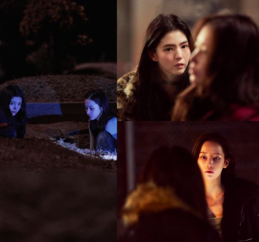 '프로젝트 Y'는 한소희와 전종서의 만남으로 제작 단계부터 화제를 모은 작품이다. 두 사람은 비슷한 듯 다른 색깔로 흔치 않은 결의 우정을 완성하며 대체 불가한 케미로 극을 이끈다. /플러스엠엔터테인먼트